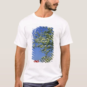 T-shirt États-Unis, Michigan, Tawas Est. Phare de Tawas av