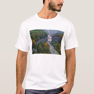 T-shirt États-Unis, New York, Letchworth State Park. Riviè