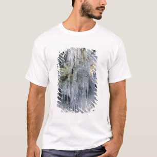 T-shirt États-Unis, Oregon, Bend. La glace sur pin pondero
