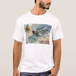 T-shirt États-Unis, Oregon, Bend. Les aiguilles de pin pon