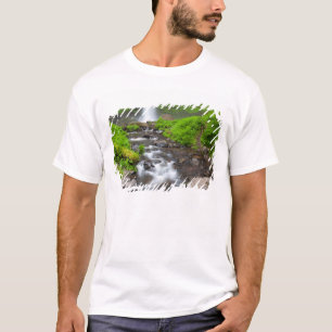 T-shirt États-Unis, Oregon, Columbia River Gorge, Latourel