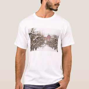 T-shirt États-Unis, Oregon, Hood River. Pomme recouverte d
