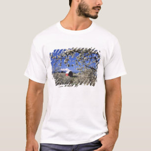 T-shirt États-Unis, Oregon, Hood River Valley, Pear verger