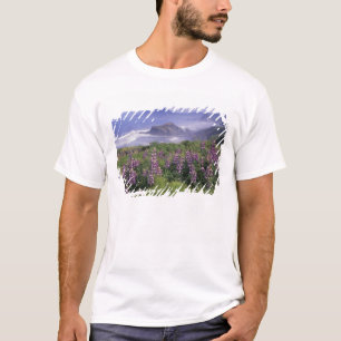 T-shirt États-Unis, Oregon, Nesika Beach. Lupin et Oregon