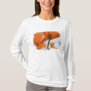 T-shirt États-Unis, Oregon, vallée de Willamette, gros pla