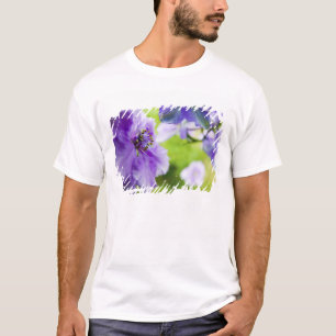 T-shirt États-Unis, Oregon, vallée de Willamette, Larkspur