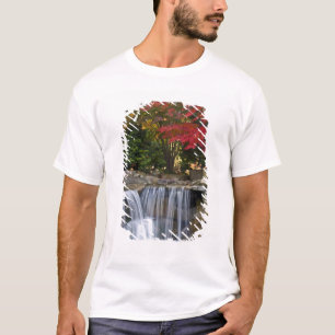 T-shirt États-Unis, Redmond, Washington. Couleurs d'automn