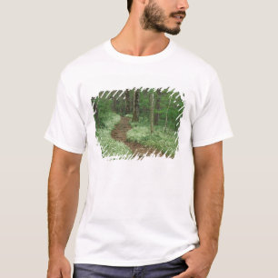 T-shirt États-Unis, Tennessee, Great Smoky Mountains NP, 3