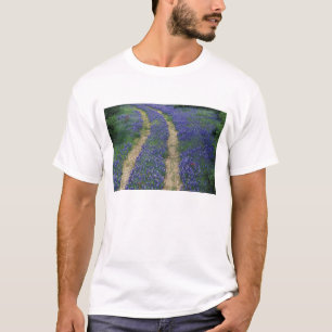 T-shirt États-Unis, Texas, près de Marble Falls, Traces en
