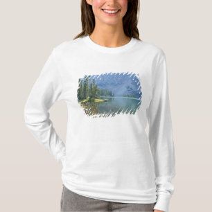 T-shirt États-Unis, Utah, Ashley National Forest, High Uin