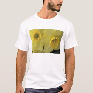 T-shirt États-Unis, Utah, jonquilles de Cache Valley