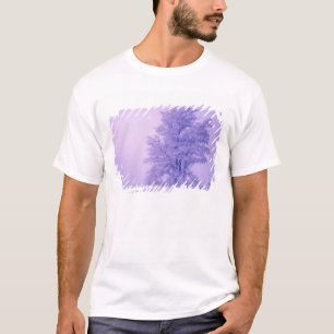 T-shirt États-Unis, Washington, Comté de Spokane, givré