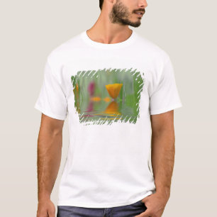 T-shirt États-Unis, Washington, Gros plan abstrait de Cali