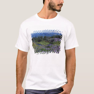 T-shirt États-Unis, Washington Mt. Adams Wilderness, Prair