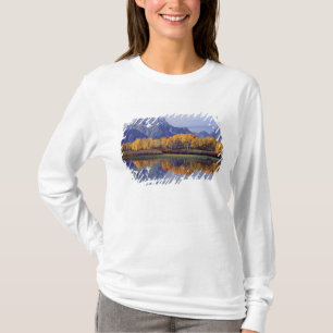 T-shirt États-Unis, Wyoming, Grand Teton National Park. Mt