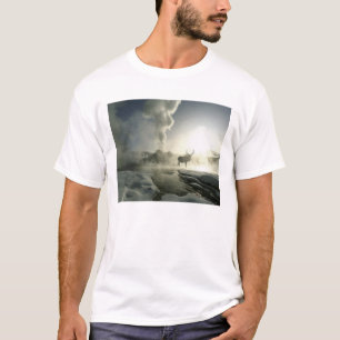 T-shirt États-Unis, Wyoming, parc national de Yellowstone.