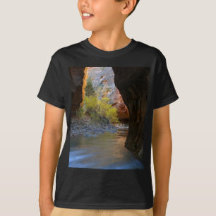 T-shirt Étroits en parc national de Zion