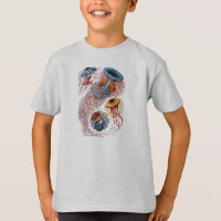 T-shirt Étude de la méduse Haeckel