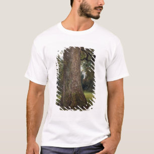 T-shirt Étude du tronc d'un arbre d'orme, c.1821 (huile
