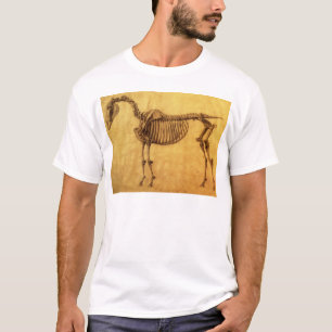T-shirt Étude finie par   de George Stubbs pour le premie