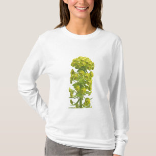 T-shirt Euphorbe