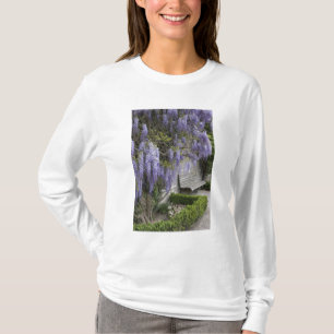 T-shirt Europe, Autriche, Salzburg Stadt, Salzbourg,