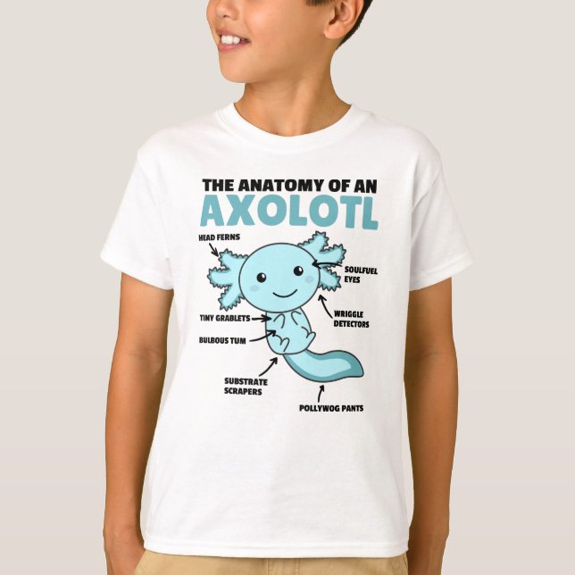 T-shirt Explication Axolotl Anatomie D'Un Axolotl (Devant)