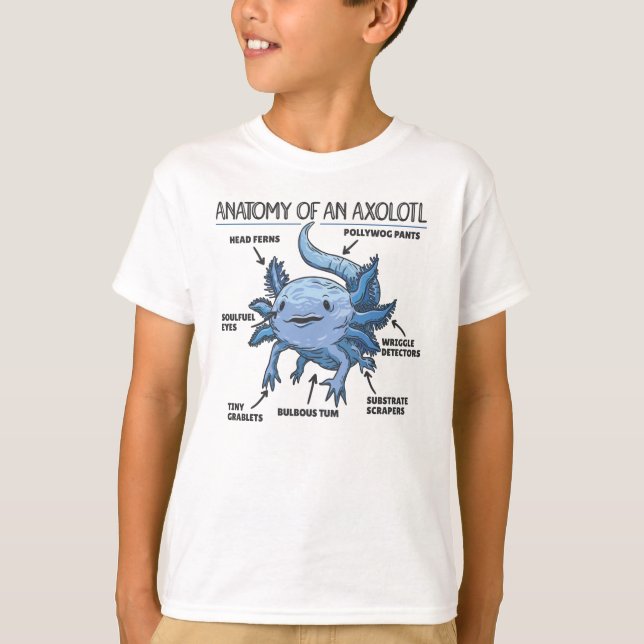 T-shirt Explication Axolotl Anatomie D'Un Axolotl (Devant)