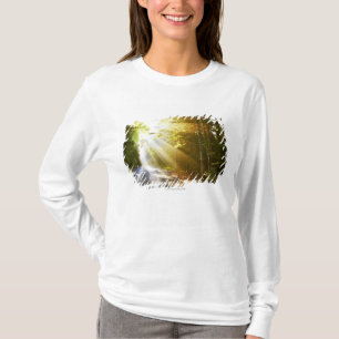 T-shirt Faisceaux de Sun par la forêt en parc national