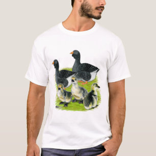 T-shirt Famille d'oie de Toulouse