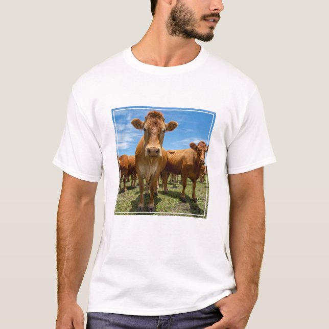 T-shirt Farms | Brown cow (Devant)