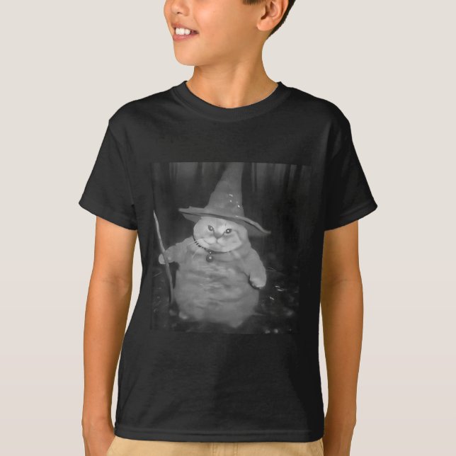 T-shirt Fat Wizard Cat Fat Kitten Wizard Funny Cat Meme Br (Devant)