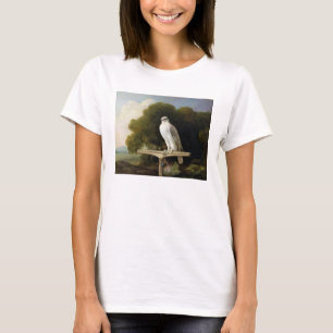 T-shirt Faucon du Groenland (faucon gris), 1780 (huile sur