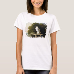 T-shirt Faucon du Groenland (faucon gris), 1780 (huile sur