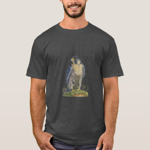 T-shirt faucon pèlerin