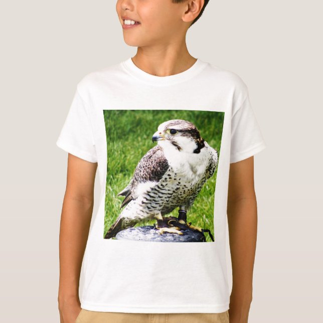 T-shirt Faucon pèlerin à l'oiseau de Prey #2 (Devant)
