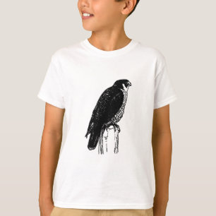 T-shirt Faucon pérégrin (illustration)