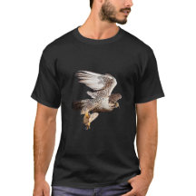 Faucon Saker en vol