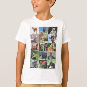 T-shirt Faune 15 animaux capturés dans la nature