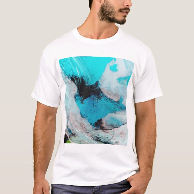 T-shirt Fausse vue couleur de Polynya (eau libre) (Devant)