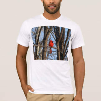 T-shirt Feb_4_2007_Male_F