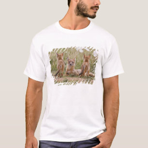 T-shirt Femelle du renard véloce (Vulpes velox) jeune à