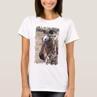 T-shirt femme Appaloosa Stallions à manches longue