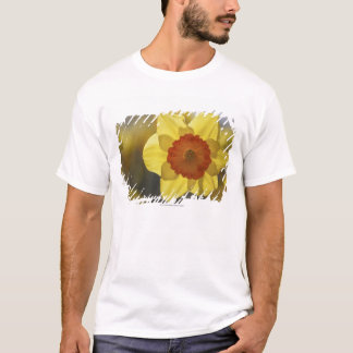 T-shirt Fermez-vous de jonquille jaune/orange