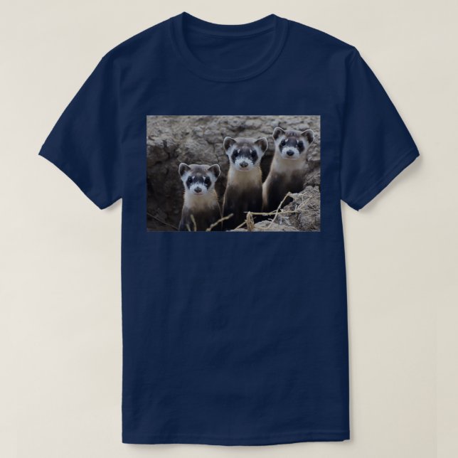 T-shirt Ferret BlackFooted (2) (Design devant)