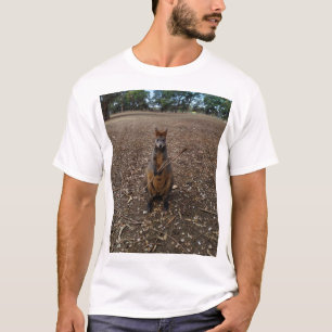 T-shirt "Fête de la nature : un casse-croûte de Wallaby"