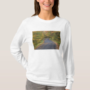 T-shirt Feuillage d'automne au bord de la route, Vermont d