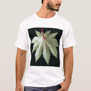 T-shirt Feuille et tige
