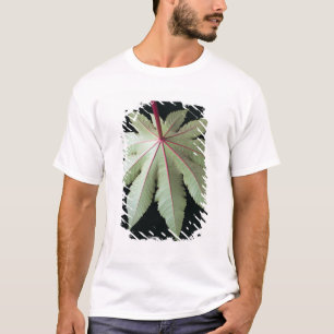 T-shirt Feuille et tige