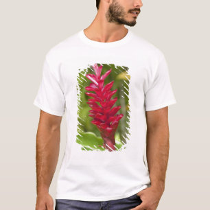 T-shirt Fidji, île de Viti Levu. Fleur.